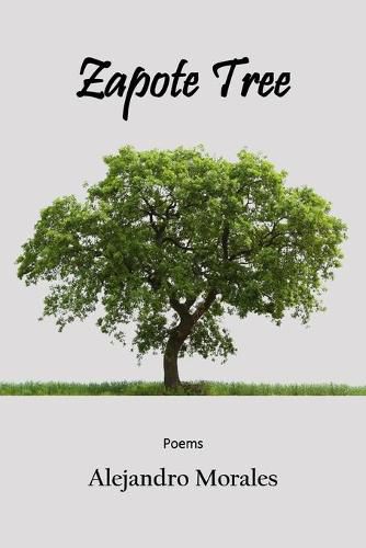 Cover image for Zapote Tree