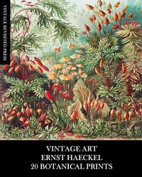 Cover image for Vintage Art: Ernst Haeckel: 20 Botanical Prints: Flora and Fauna Ephemera for Framing, Collage and Decoupage