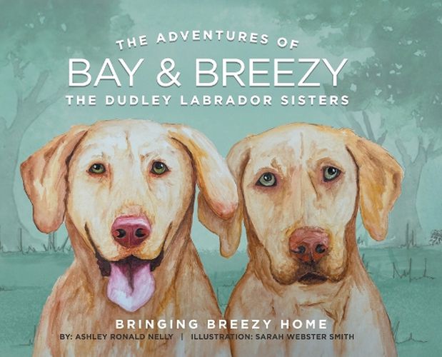 Cover image for The Adventures of Bay & Breezy