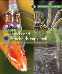 Cover image for Insects and Arachnids Explained