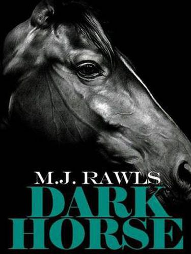 Cover image for DarkHorse