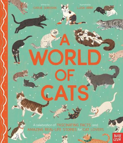 Cover image for A World of Cats