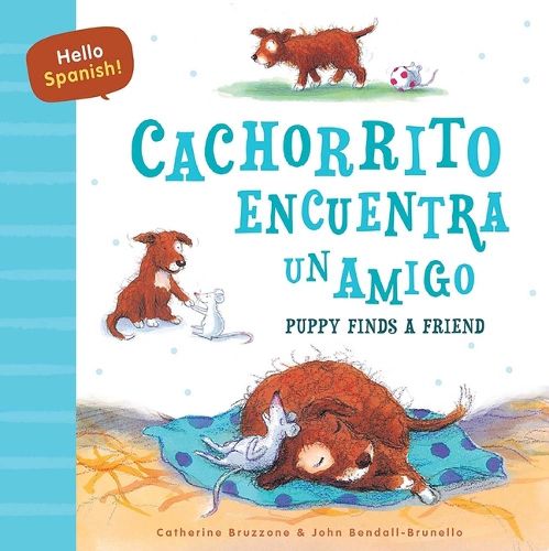 Cover image for Hello Spanish! Puppy Finds a Friend / Cachorrito Encuentra Un Amigo