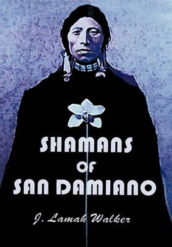 Cover image for Shamans of San Damiano