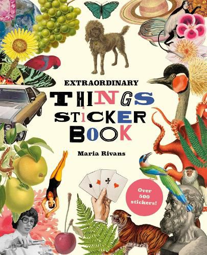 Cover image for Extraordinary Things Sticker Book