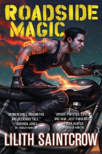 Cover image for Roadside Magic