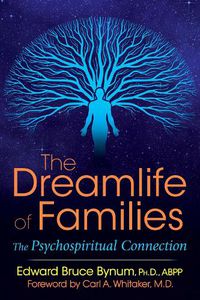 Cover image for The Dreamlife of Families: The Psychospiritual Connection