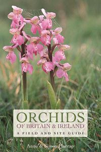 Cover image for Orchids of Britain and Ireland: A Field and Site Guide