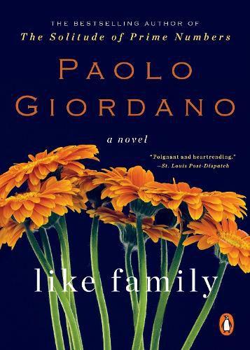 Cover image for Like Family: A Novel