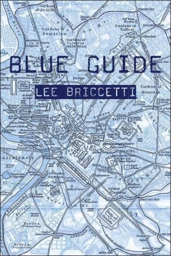 Cover image for Blue Guide