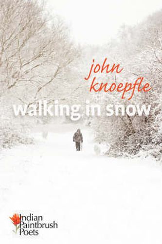 Cover image for Walking in Snow