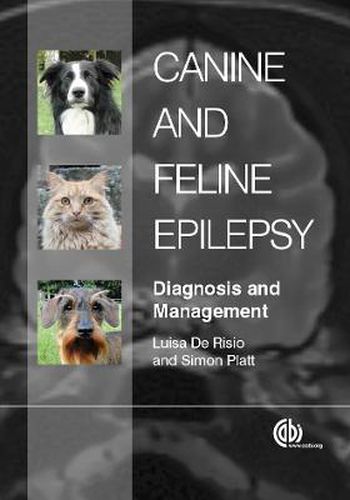 Cover image for Canine and Feline Epilepsy: Diagnosis and Management