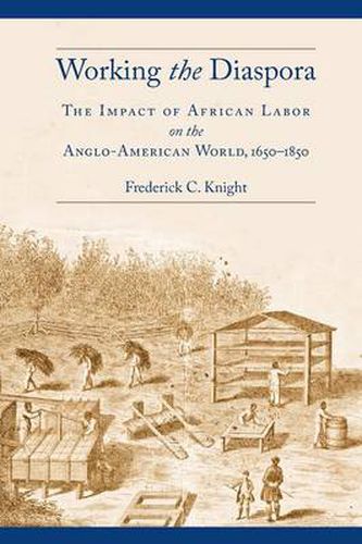 Cover image for Working the Diaspora: The Impact of African Labor on the Anglo-American World, 1650-1850