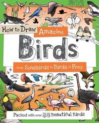 Cover image for How to Draw Amazing Birds: From Songbirds to Birds of Prey