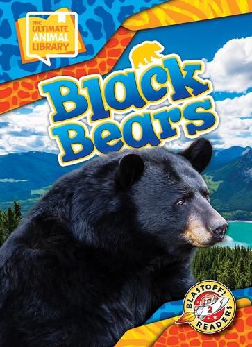 Cover image for Black Bears