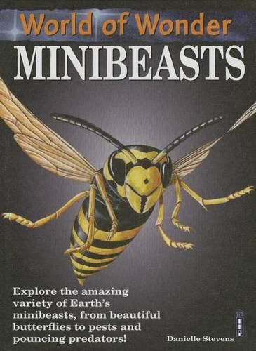 Cover image for Minibeasts