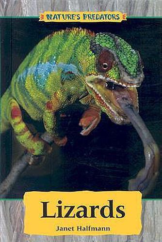 Cover image for Lizards