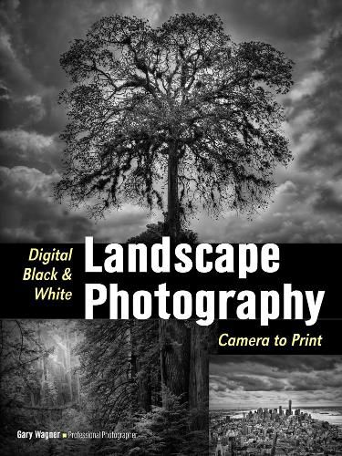 Digital Black & White Landscape Photography: Fine Art Techniques from Camera to Print