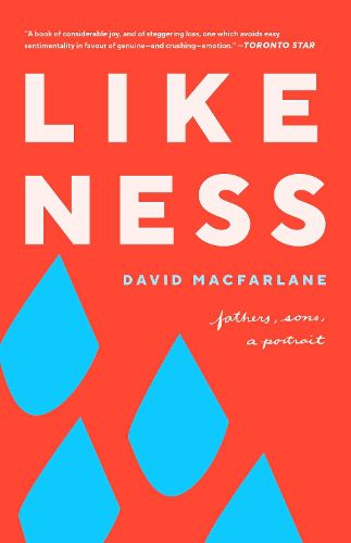 Cover image for Likeness