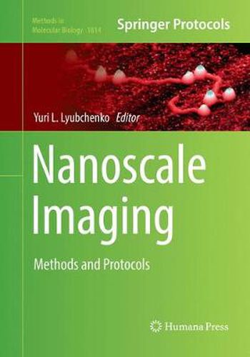 Cover image for Nanoscale Imaging: Methods and Protocols