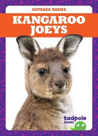 Cover image for Kangaroo Joeys