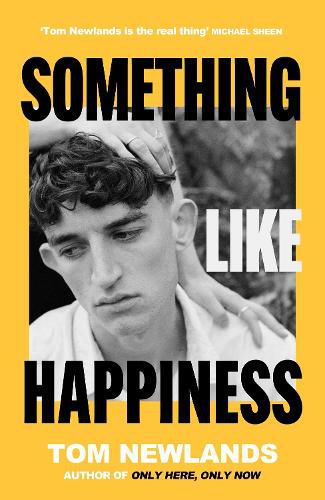 Cover image for Something Like Happiness