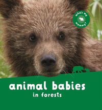 Cover image for Animal Babies in Forests