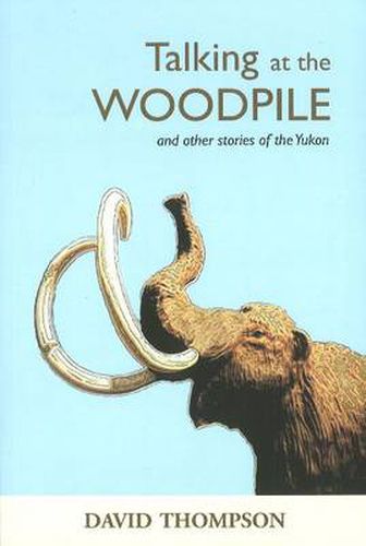 Cover image for Talking at the Woodpile