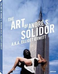 Cover image for The Art of Andre S Solidor