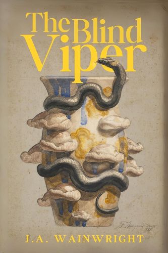 Cover image for The Blind Viper