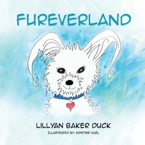 Cover image for Fureverland