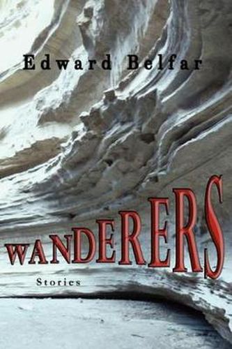 Cover image for Wanderers