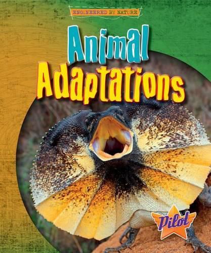 Animal Adaptations