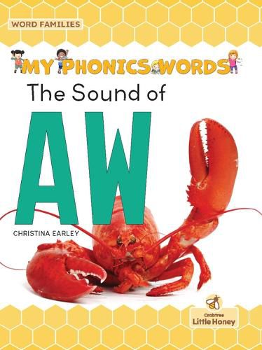 Cover image for The Sound of Aw