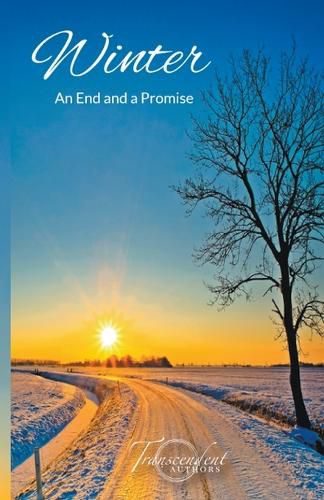 Cover image for Winter, An End and a Promise