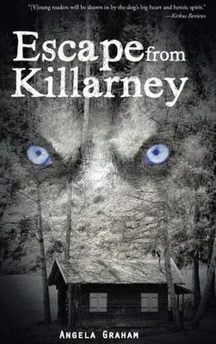 Cover image for Escape from Killarney