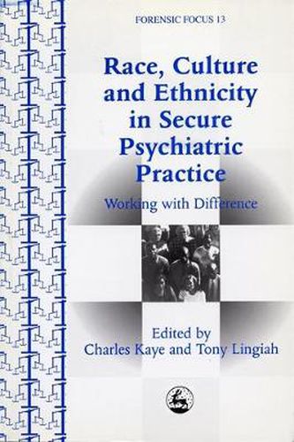 Race, Culture and Ethnicity in Secure Psychiatric Practice: Working with Difference