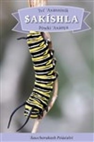 Cover image for IVI' Axanninik Sakishla Powki 'axanya: English Translation: How the Caterpillar Got Its Wings