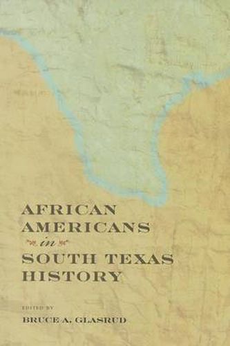 Cover image for African Americans in South Texas History