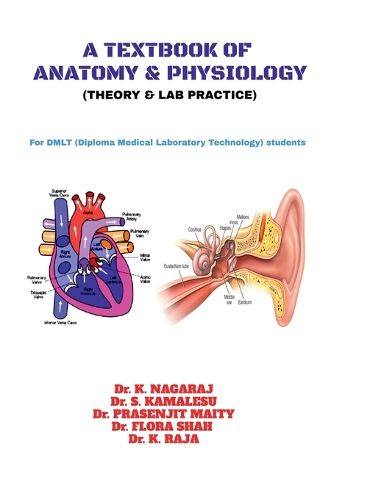 Cover image for A Textbook of Anatomy & Physiology