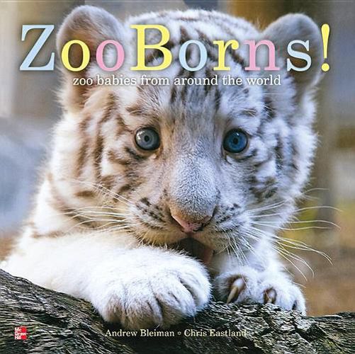 Cover image for Reading Wonders Literature Big Book: Zoo Borns! Grade K