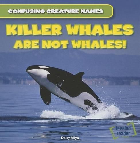 Killer Whales Are Not Whales!