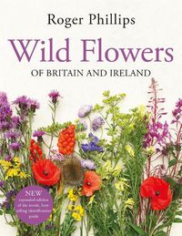 Cover image for Wild Flowers: of Britain and Ireland
