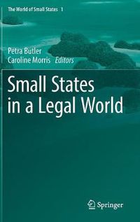 Cover image for Small States in a Legal World