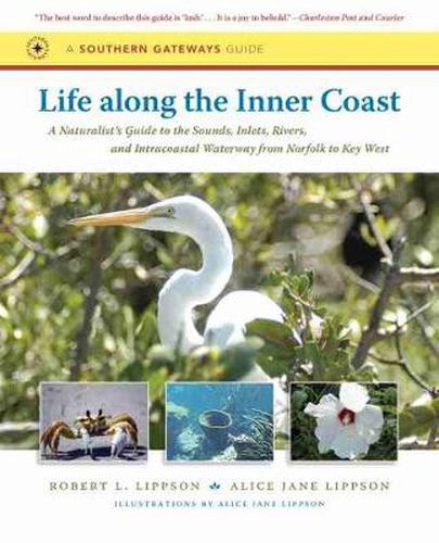 Cover image for Life Along the Inner Coast: A Naturalist's Guide to the Sounds, Inlets, Rivers and Intracoastal Waterway from Norfolk to Key West