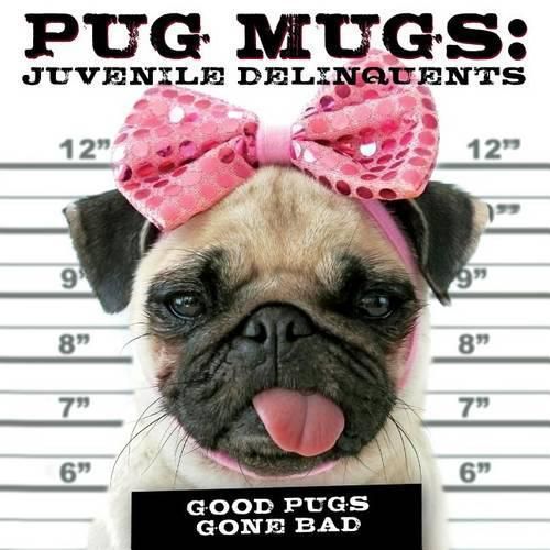 Cover image for Pug Mugs: Juvenile Delinquents