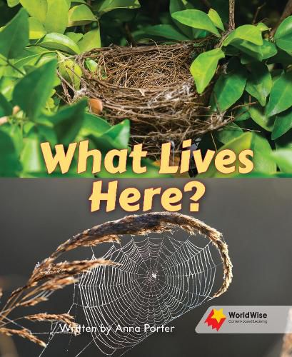 Cover image for What Lives Here?