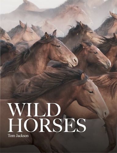 Cover image for Wild Horses