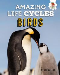 Cover image for Birds - Amazing Life Cycles
