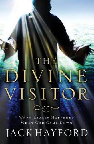 Cover image for Divine Visitor: What Really Happened When God Came Down